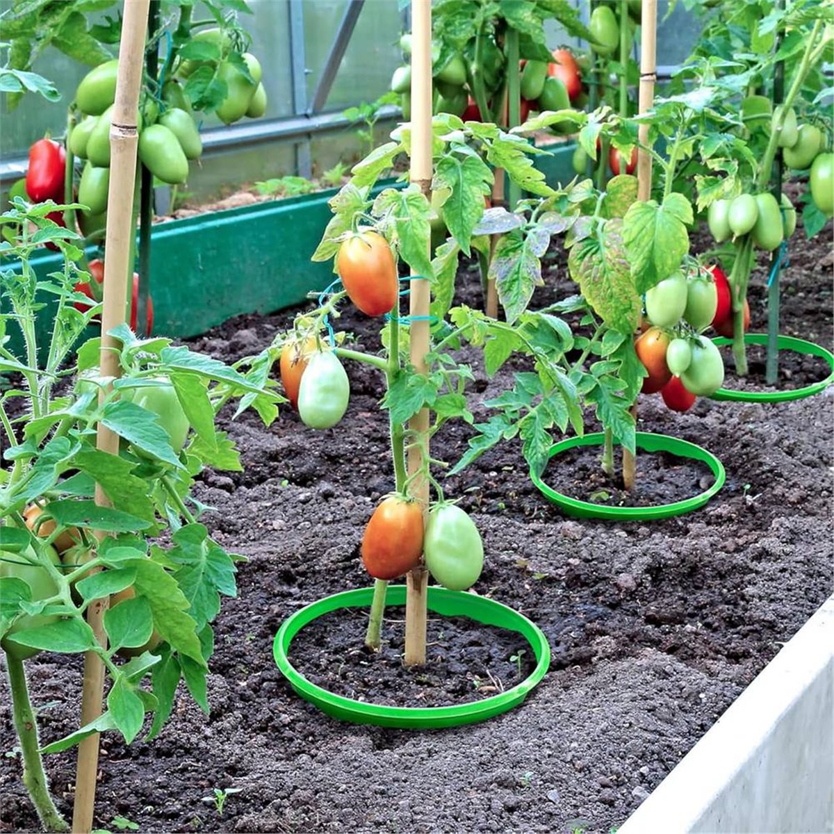 【카운트다운 딜】 뿌리에 물을 주기 위한 식물 보호 링 - Gardening Tools Deals 리뷰 및 가격