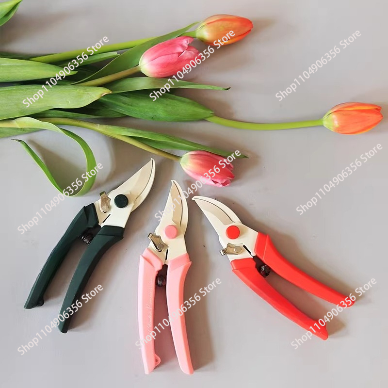 200MM 가지치기 가위, 일본에서 수입, 원예용 가지 - Gardening Tools Made In Japan 리뷰 및 가격