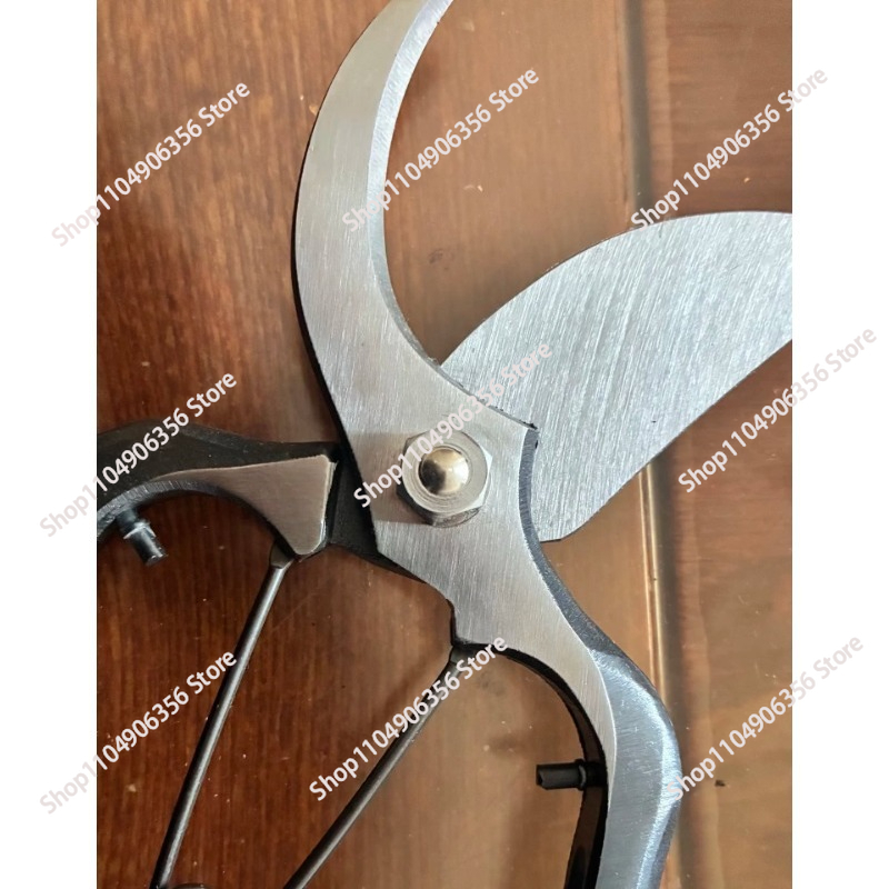200MM 가지치기 가위, 일본에서 수입, 원예용 가지 - Gardening Tools Made In Japan 리뷰 및 가격