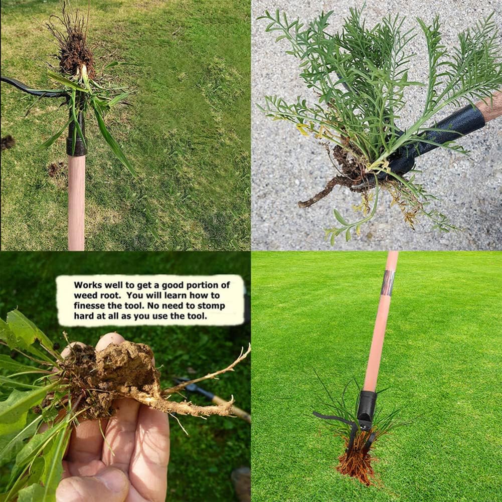 스탠드업 잡초 풀러 도구 구부러지지 않는 강철 발톱이  - Weed Puller 리뷰 및 가격