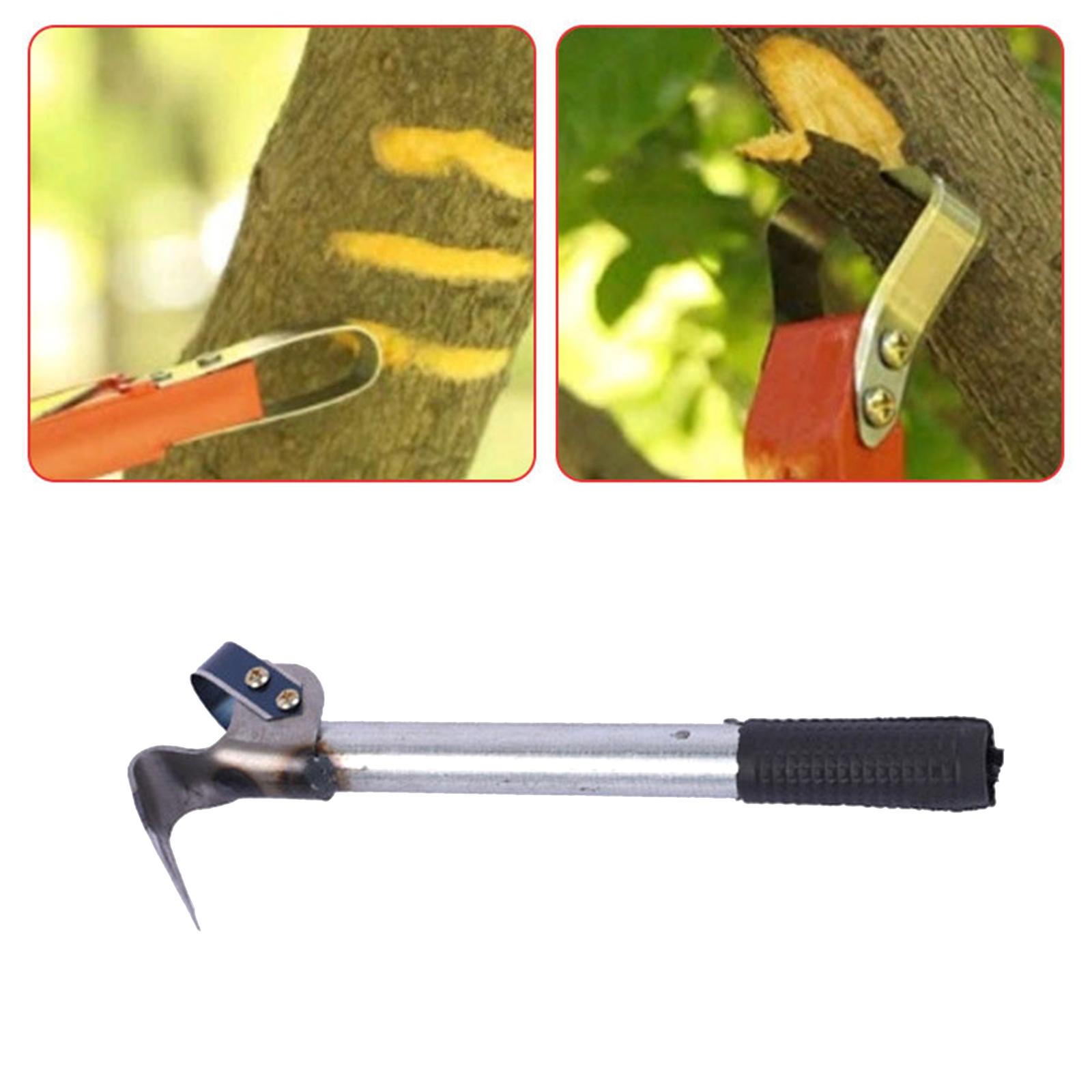 나무껍질 제거 도구, 컴팩트한 나무껍질 제거 칼, 정원 - Gardening Tools Drawing 리뷰 및 가격