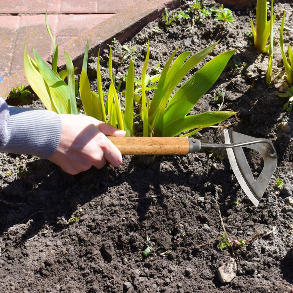 손잡이가 있는 정원 중공 괭이 잡초 유물, 녹슬지 않는 - Gardening Tools Used For Weeding 리뷰 및 가격