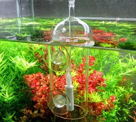 VIV Do Device 수족관 실린더 크리스탈 유리, - Aquaponics Fish Tank 리뷰 및 가격