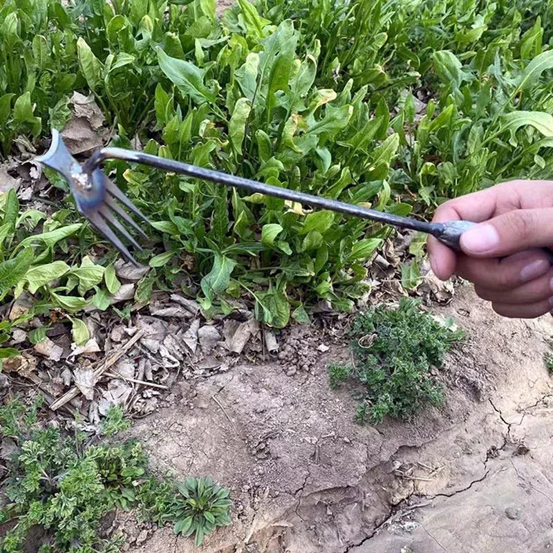 정원 제초기, 망간강 정원 제초기, 뿌리 빼기 및 흙  - Weed Puller 리뷰 및 가격