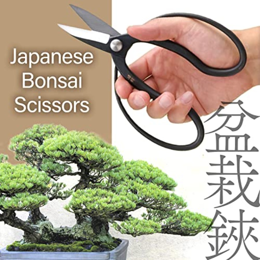 일본 수이류 분재 가위 - 전통 하사미 전정 가위, 일 - Gardening Tools Made In Japan 리뷰 및 가격