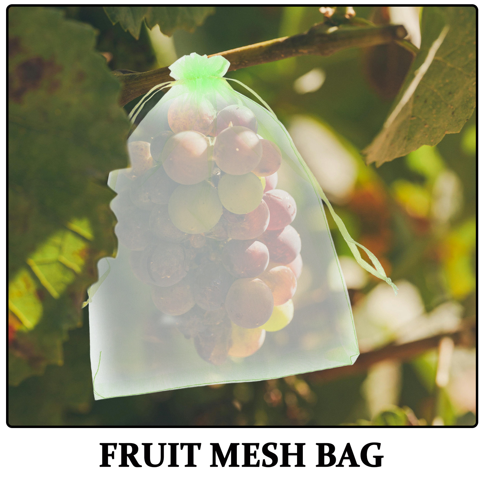 30Pcs 재사용 가능한 Drawstring 과일 보호 - Garden Netting Cover 리뷰 및 가격