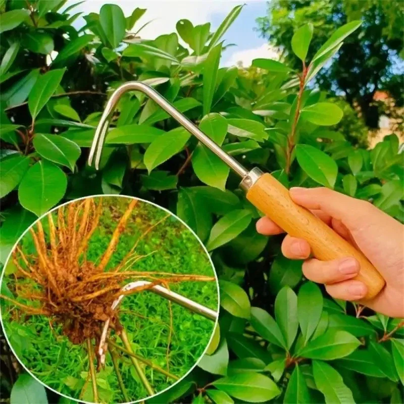 스테인레스 스틸 원예 잡초 수동 제거 휴대용 도구, 가 - Weed Puller 리뷰 및 가격