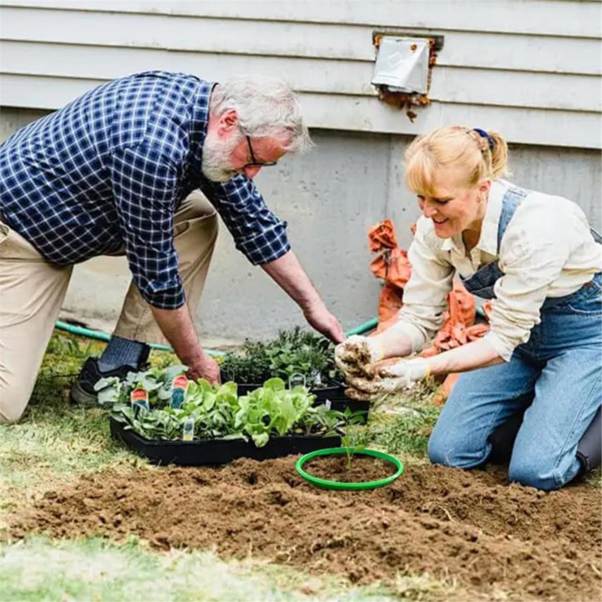 대폭 할인! 뿌리 급수 및 잡초 제거를 위한 4개의 식 - Gardening Tools Big 리뷰 및 가격