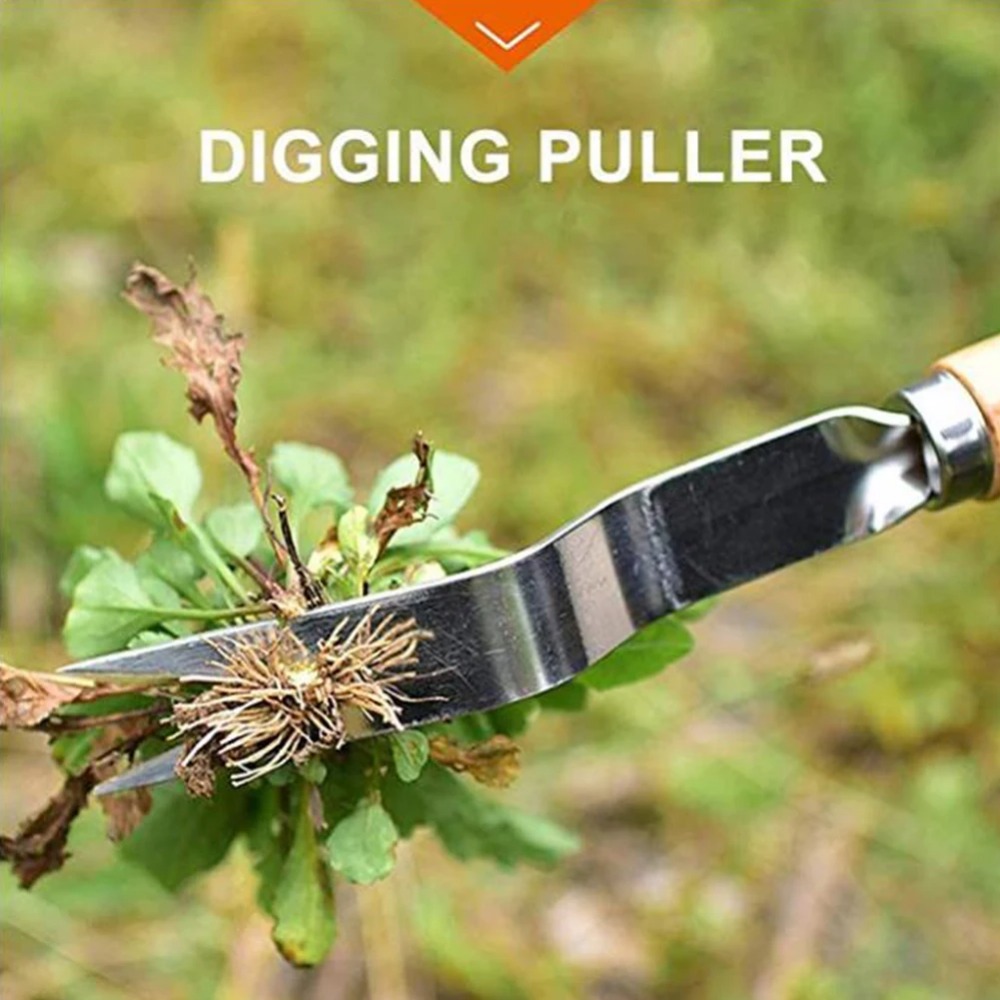 목재 손잡이 스테인레스 스틸 정원 잡초 제거 커터 풀러 - Weed Puller 리뷰 및 가격