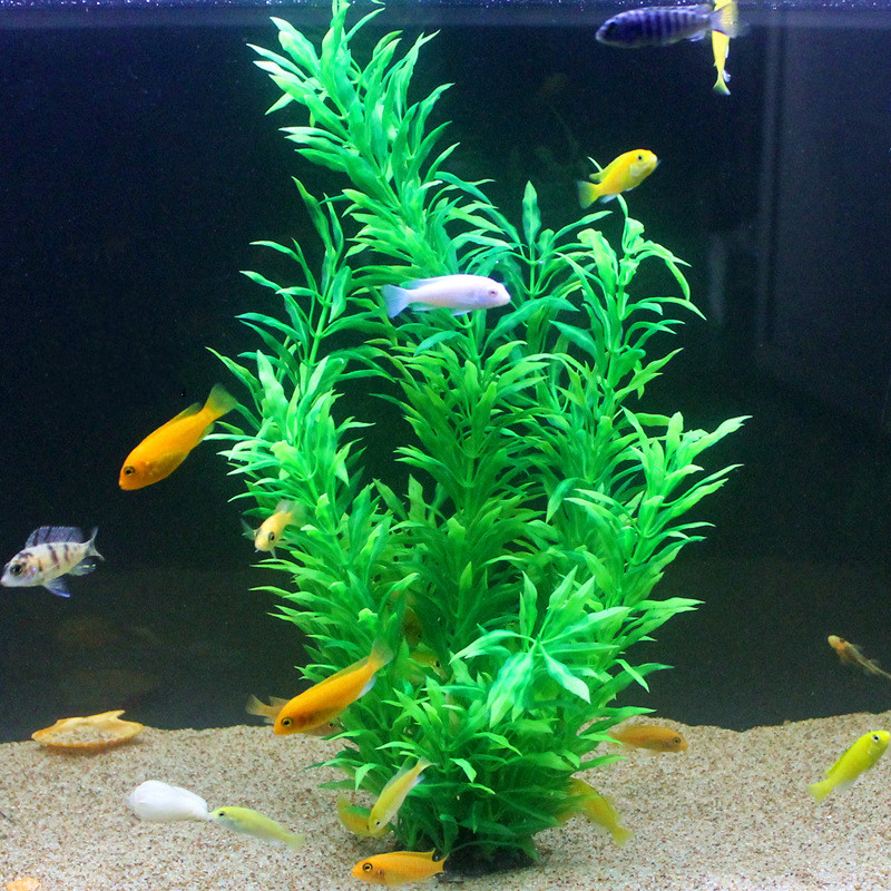 50CM 인조 어항 희귀 식물 수족관 가짜 대나무 잎  - Aquaponics Fish Tank 리뷰 및 가격