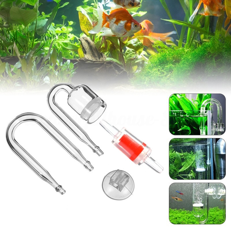 수족관 유리 탱크용 DIY CO2 디퓨저, 버블 반응기 - Aquaponics Fish Tank 리뷰 및 가격