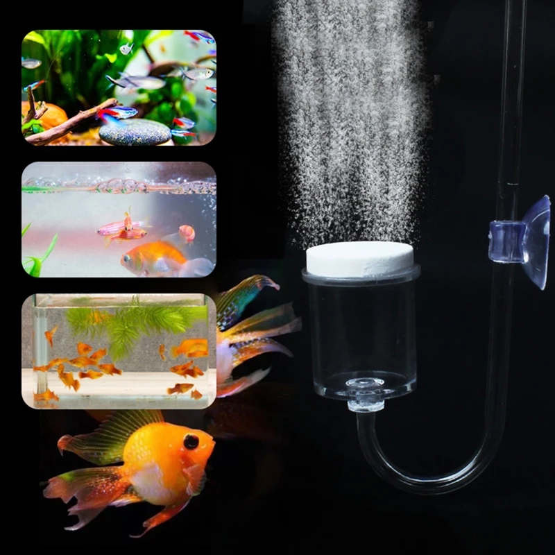 수족관 유리 탱크용 DIY CO2 디퓨저, 버블 반응기 - Aquaponics Fish Tank 리뷰 및 가격